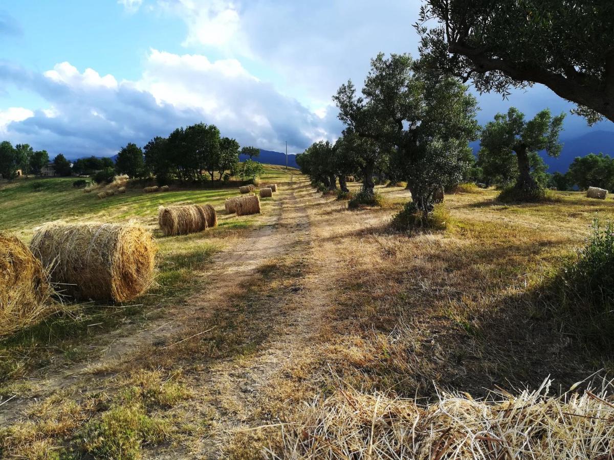 La Dimora Di Radha B&B Centro Olistico Rende Exteriör bild