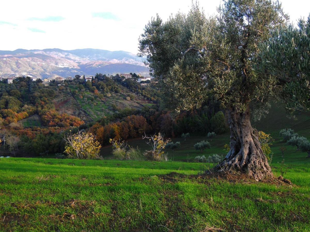 La Dimora Di Radha B&B Centro Olistico Rende Exteriör bild