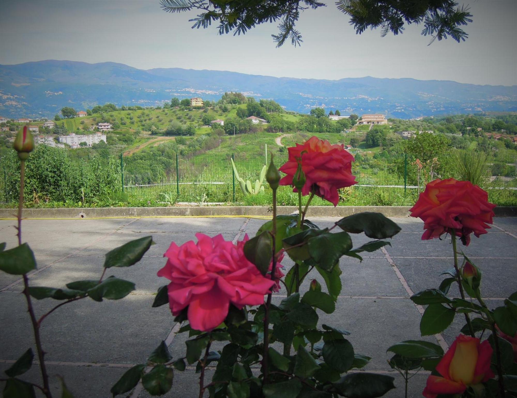 La Dimora Di Radha B&B Centro Olistico Rende Exteriör bild